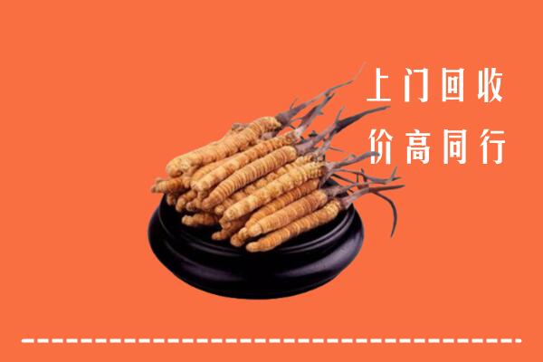 高价求购：盂县回收散虫草