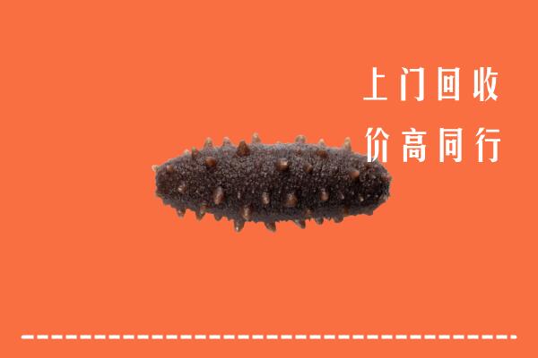高价求购：盂县回收海参